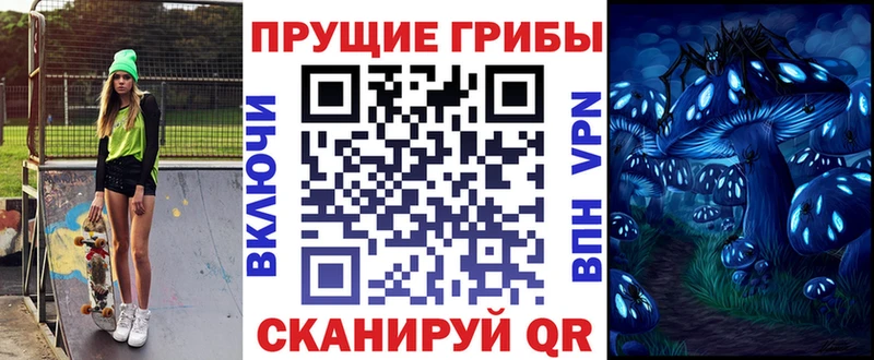 блэк спрут tor  Мамадыш  Галлюциногенные грибы Psilocybe 